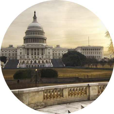 The Capitol Building in Washington, D.C.